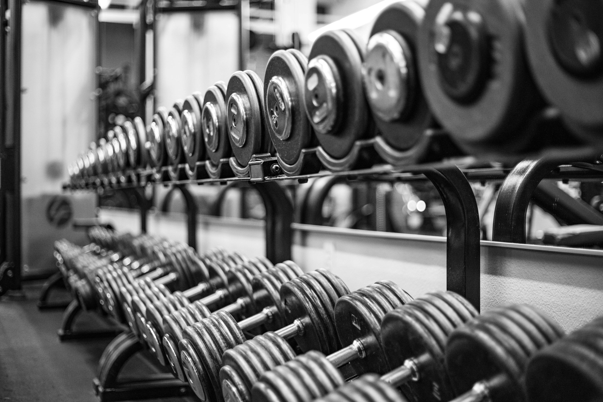 Row of various dumbbells in a rack.